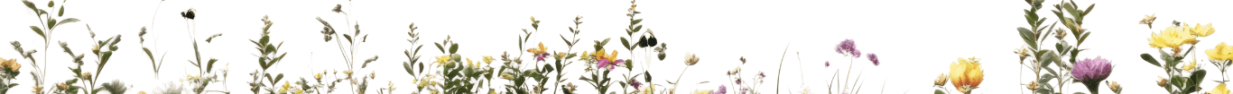Image link